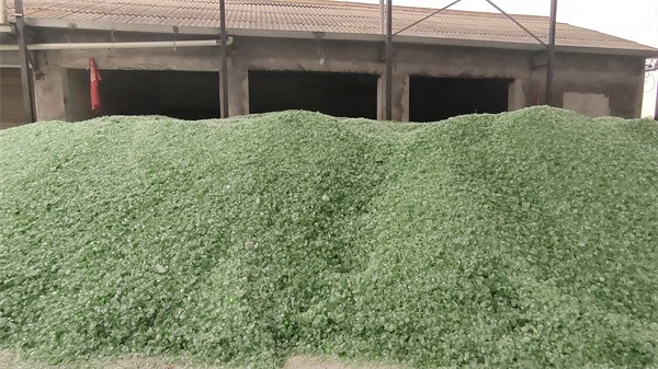 硅酸鈉為何可以作為木材阻燃劑？